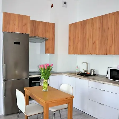 Apartament Apartament 41 Czechowska 3 *